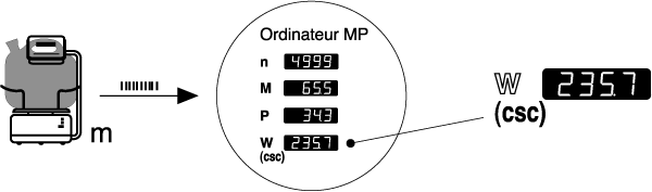 Balance de prcision avec ligne de transmission de donnes  l’Ordinateur MP pour le calcul automatique de la consommation spcifique de carburant